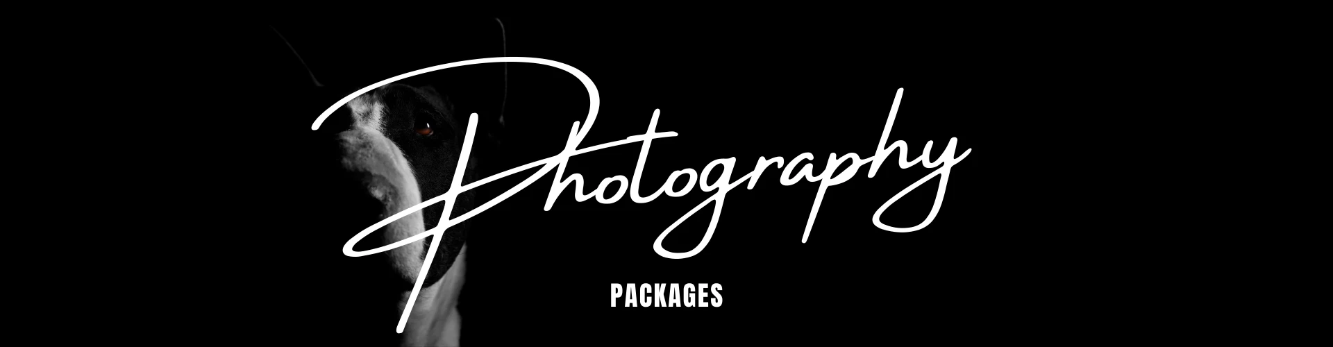 Photography Packages & Pricing - Cape Town