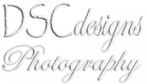 photography - pretoria - johannesburg - DSC design Photography