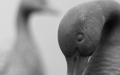 Mastering the Exposure Triangle: A Deep Dive into Aperture